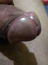 Beautiful transgender women are having fun on their own