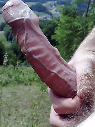 Flawless shemale mistresses take off sexy panties