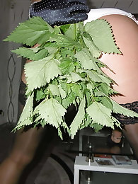 GROOBYGIRLS: Climax Monday - Casey Kisses Cums