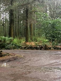 Tgirl harlot is getting seminaked