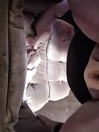 Sensuous t-girl harlots look excited